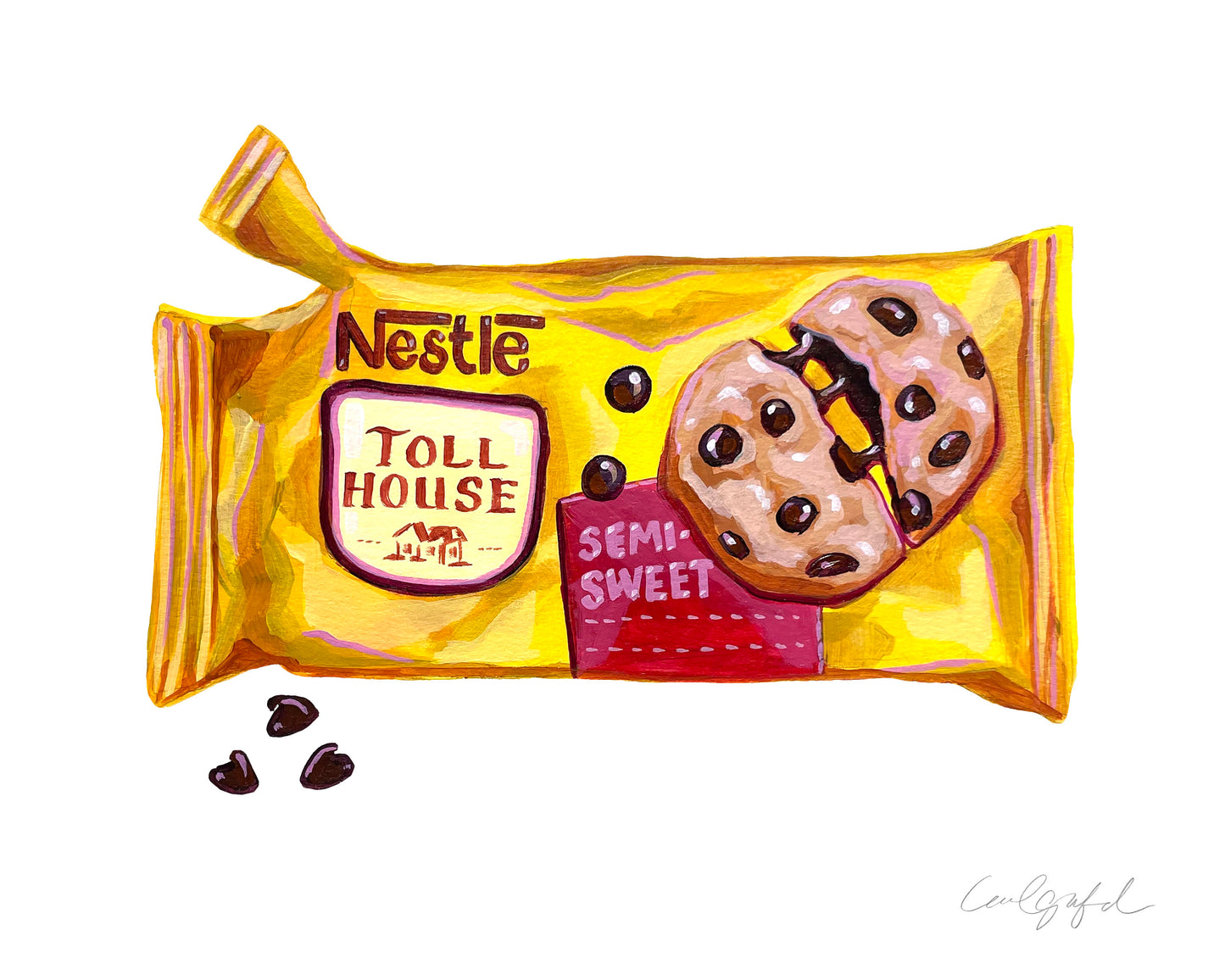 Chocolate Chips Canvas Print