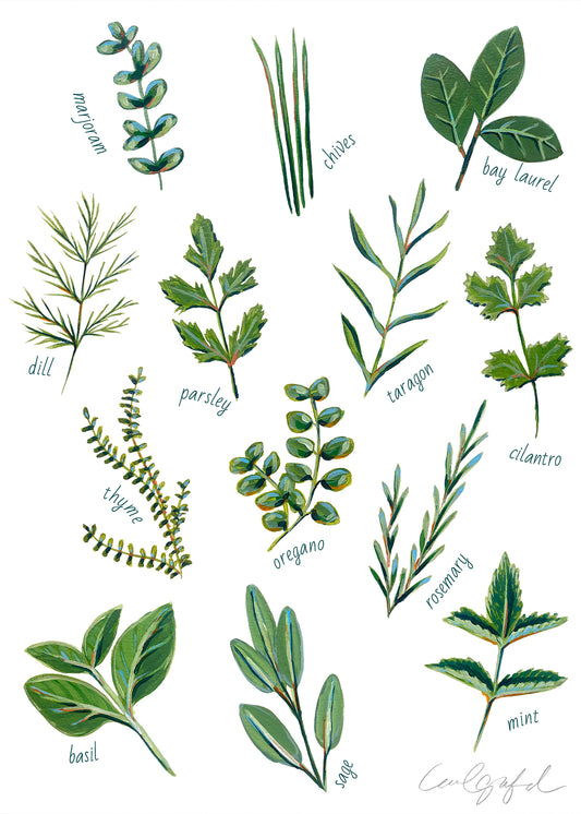Herbs Print